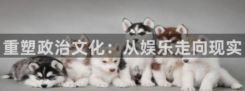 赢咖app下载品牌官网