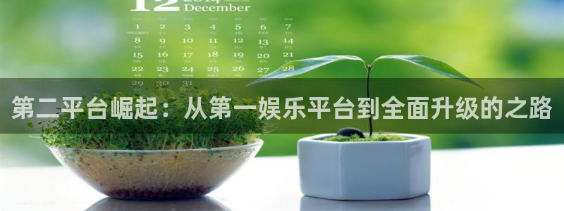 赢咖世纪娱乐
