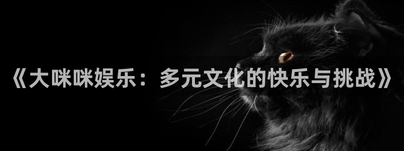 赢咖系列