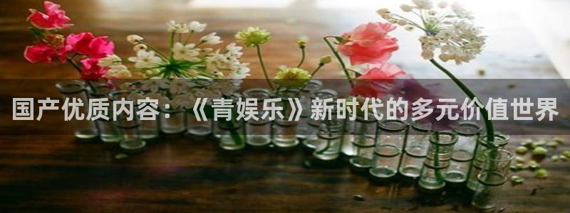 赢咖集团
