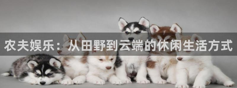 赢咖5