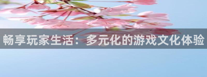 赢咖1平台网址