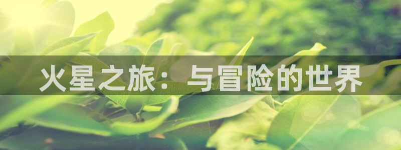 赢咖3注册